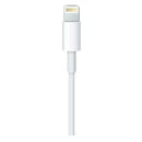 Cabo Apple Original USB-C para Lightning